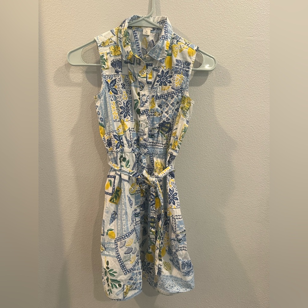 Crewcuts Blue and Yellow Floral Dress
